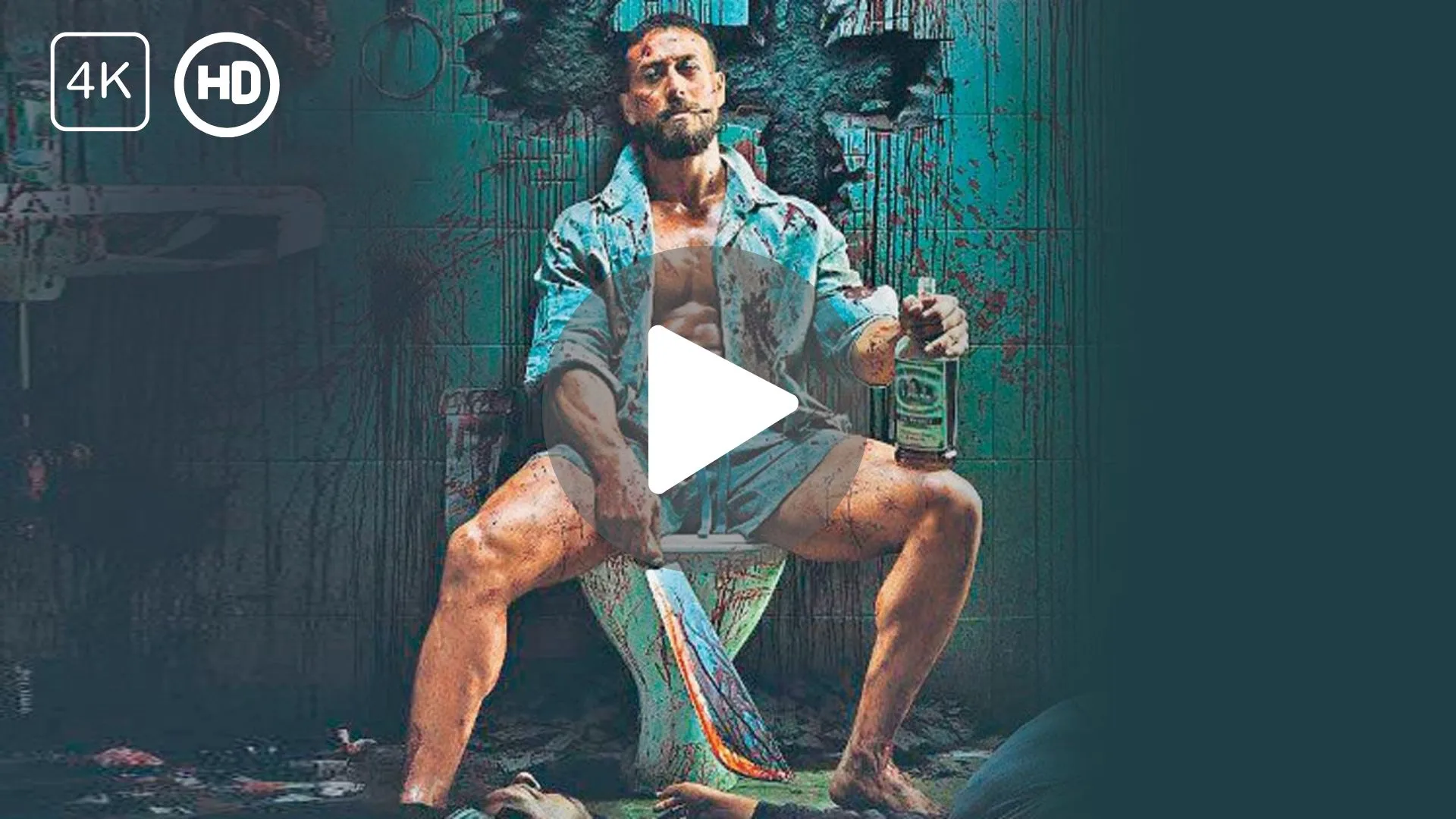 Baaghi 4 Movie